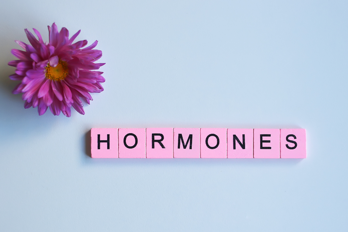 Wooden cubes with the word 'Hormones' on a blue background.