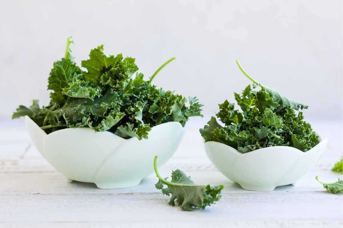 Fresh kale in white bowls.