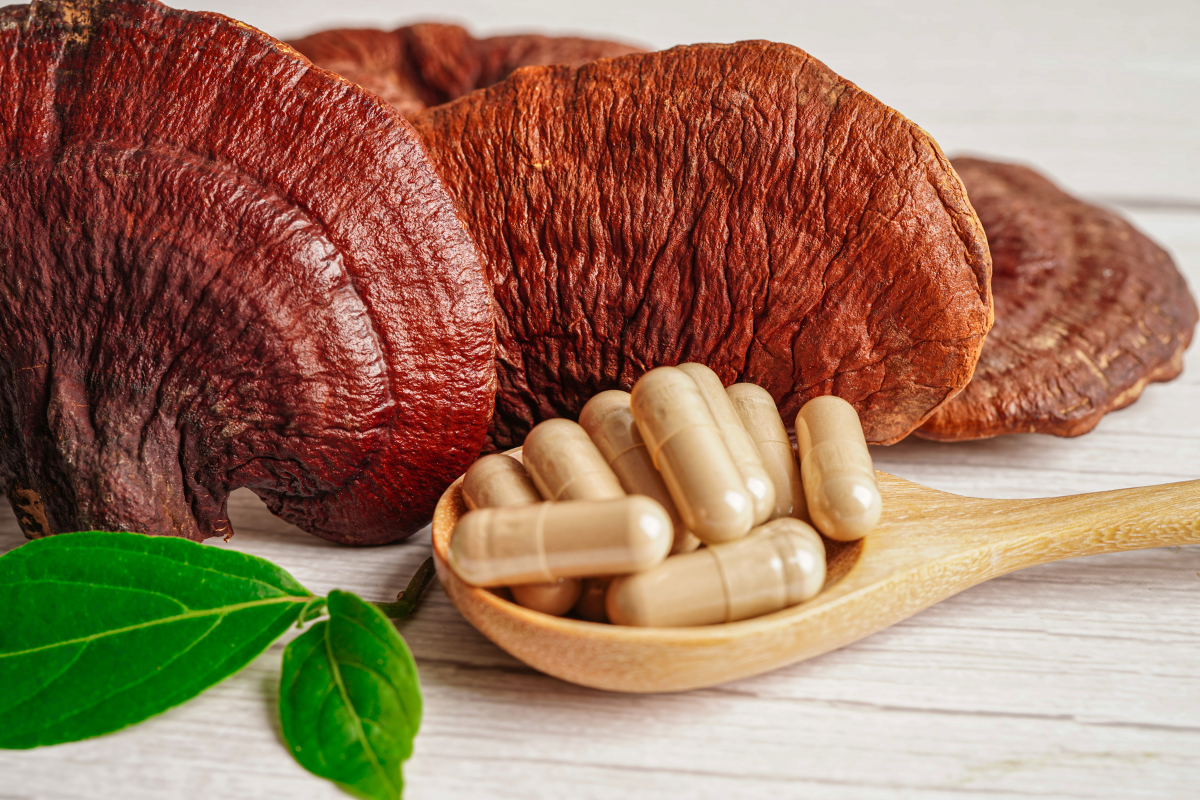 Dried reishi mushrooms with capsules in a wooden spoon.