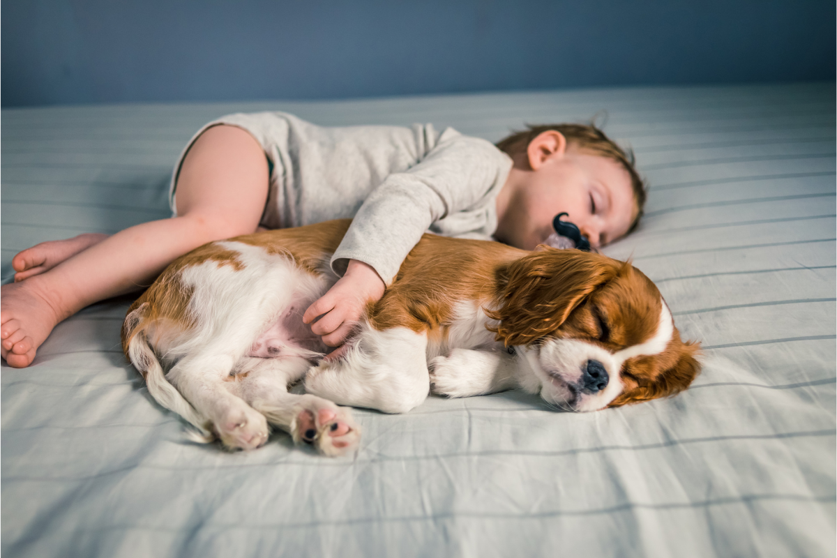 A baby sleeping peacefully on a bed, cuddling with a small dog. Both the baby and the dog are lying on their sides, appearing comfortable and content in their nap.