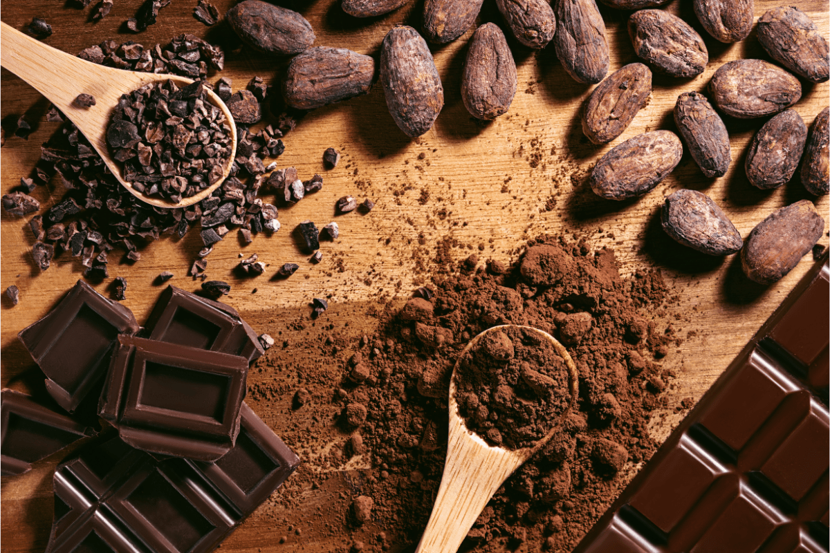 Assortment of cocoa beans, cocoa powder, cacao nibs, and dark chocolate on a wooden surface.