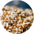 //eu.simplynootropics.com/cdn/shop/files/19-WIC-consititue.png?v=1735919728&width=100