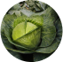 //eu.simplynootropics.com/cdn/shop/files/3-WIC-consititue.png?v=1735919878&width=100